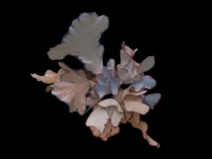 Four innovative projects awarded Film Fund DocLab Interactive Grants