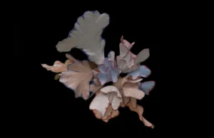 Four innovative projects awarded Film Fund DocLab Interactive Grants
