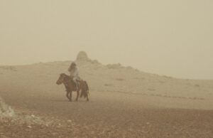 LFF interview: The Wolves Always Come at Night by Gabrielle Brady