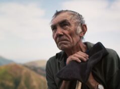 IDFA Luminous: The Shepherd and the Bear by Max Keegan