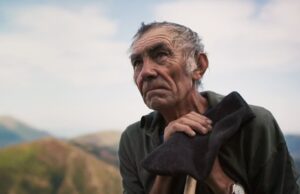 IDFA Luminous: The Shepherd and the Bear by Max Keegan