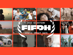 FIFDH Impact Days 2025: And the winners are…