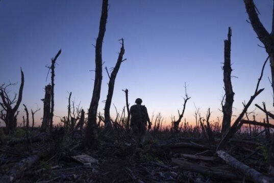 Sundance FF announces documentary selections for 2025 edition