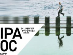Fipadoc panel: The State of the Documentary Landscape