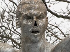 CPH:DOX NORDIC:DOX: Zlatan’s Nose by Nils Toftenow, Mathias Rosberg and Olle Toftenow