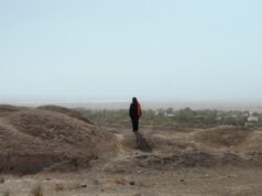 CPH:DOX F:ACT AWARD: The Last Ambassador by Natalie Halla