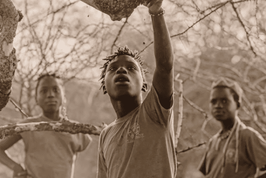 Impact Days StoryBoard Impact Award: Children of Honey by Jigar Ganatra, Immanuel Musa Marco