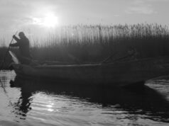 Thessaloniki Docs in Progress: Six Letters for a River by Markos Holevas