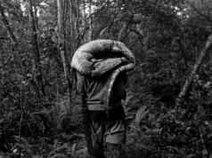 Visions du Reel Burning Lights review: To The West, In Zapata by David Bim