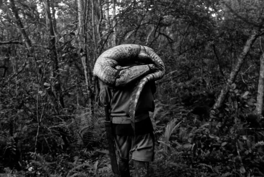 Visions du Reel Burning Lights review: To The West, In Zapata by David Bim
