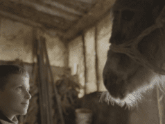 SWISS FILMS Previews: The Beauty of the Donkey by Dea Gjinovci