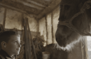 SWISS FILMS Previews: The Beauty of the Donkey by Dea Gjinovci