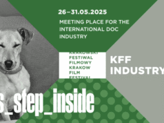 Krakow Film Festival 2025: Katarzyna Wilk, Head of KFF Industry