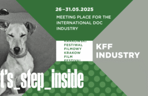 Krakow Film Festival 2025: Katarzyna Wilk, Head of KFF Industry