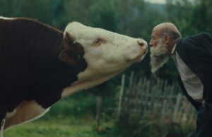 KVIFF Crystal Globe to Czech-Slovak doc Better Go Mad in the Wild