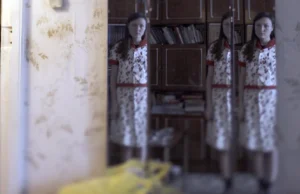Full documentary programme of Flanders Film Days showcase