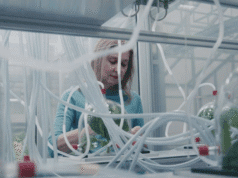 Locarno Critics Week: Flying Scents – Of Plants and People