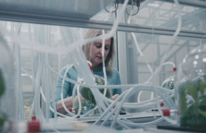 Locarno Critics Week: Flying Scents – Of Plants and People