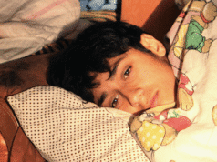 Sarajevo Documentary Competition: I Saw a Suno by Katalin Bársony