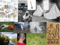 FFA Focus on Finland: The Edge of Endurance by Kirsikka Paakkinen