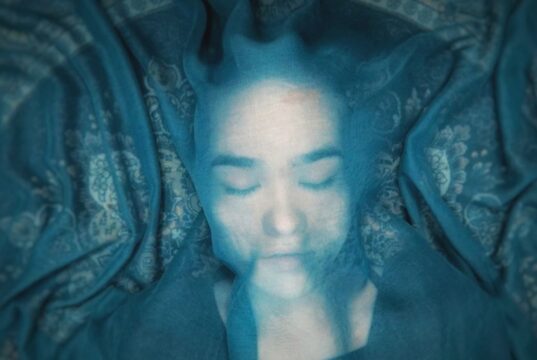 IDFA Int’l Comp review: A Fox Under a Pink Moon by Mehrdad Oskouei