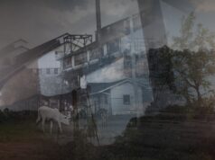 IDFA Envision: Fordlândia Panacea by Susana de Sousa Dias