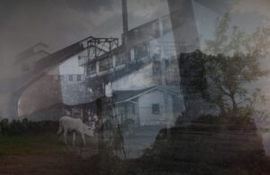 IDFA Envision: Fordlândia Panacea by Susana de Sousa Dias
