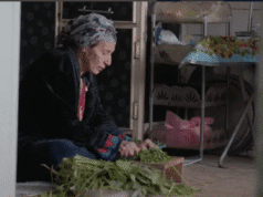 IDFA International Comp: Flana by Zahraa Ghandour