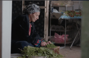 IDFA International Comp: Flana by Zahraa Ghandour