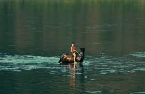 Krakow FF Int’l Comp: Silent Flood by Dmytro Sukholytkyy-Sobchuk