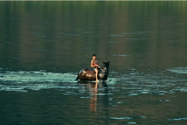 Silent-Flood.jpg