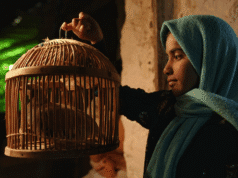 IDFA Forum Rough Cut: Dreams of the Wild Oaks by Marjan Khosravi