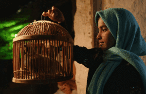 IDFA Forum Rough Cut: Dreams of the Wild Oaks by Marjan Khosravi
