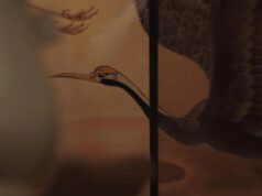 Awards FYC: On Healing Land, Birds Perch by Naja Pham Lockwood