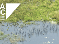Fipadoc Industry Days unveils international pitches for 2026 edition