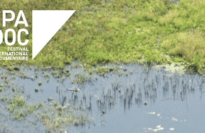 Fipadoc Industry Days unveils international pitches for 2026 edition