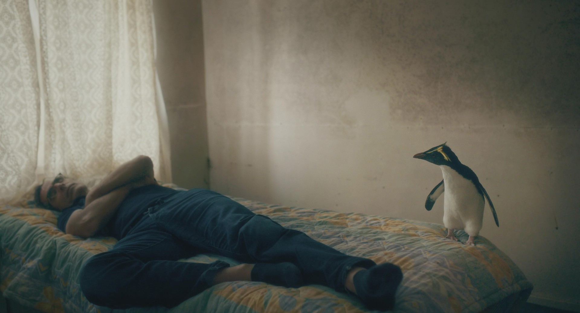 Berlinale Panorama: Tristan Forever by Tobias Nölle and Loran