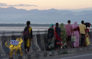 Berlin Forum: Flying Tigers by Madhusree Dutta
