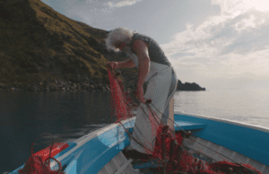 ParisDOC Work-in-Progress: The Island by Sara Rastegar and Simone Pozzi