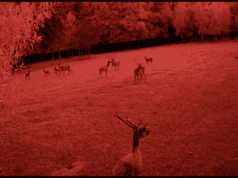 VdR Burning Lights Comp: The Illusion of a Quiet Night by Olga Chernykh