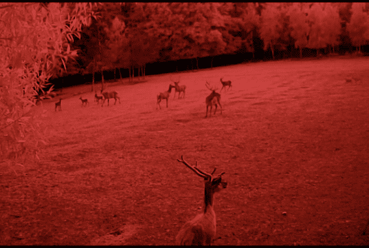 VdR Burning Lights Comp: The Illusion of a Quiet Night by Olga Chernykh