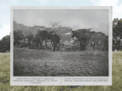 VdR–Industry 2026: And the winners are…