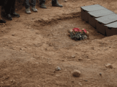 DocsBarcelona Docs&Cat Comp: Herencia by Ricardo Iscar