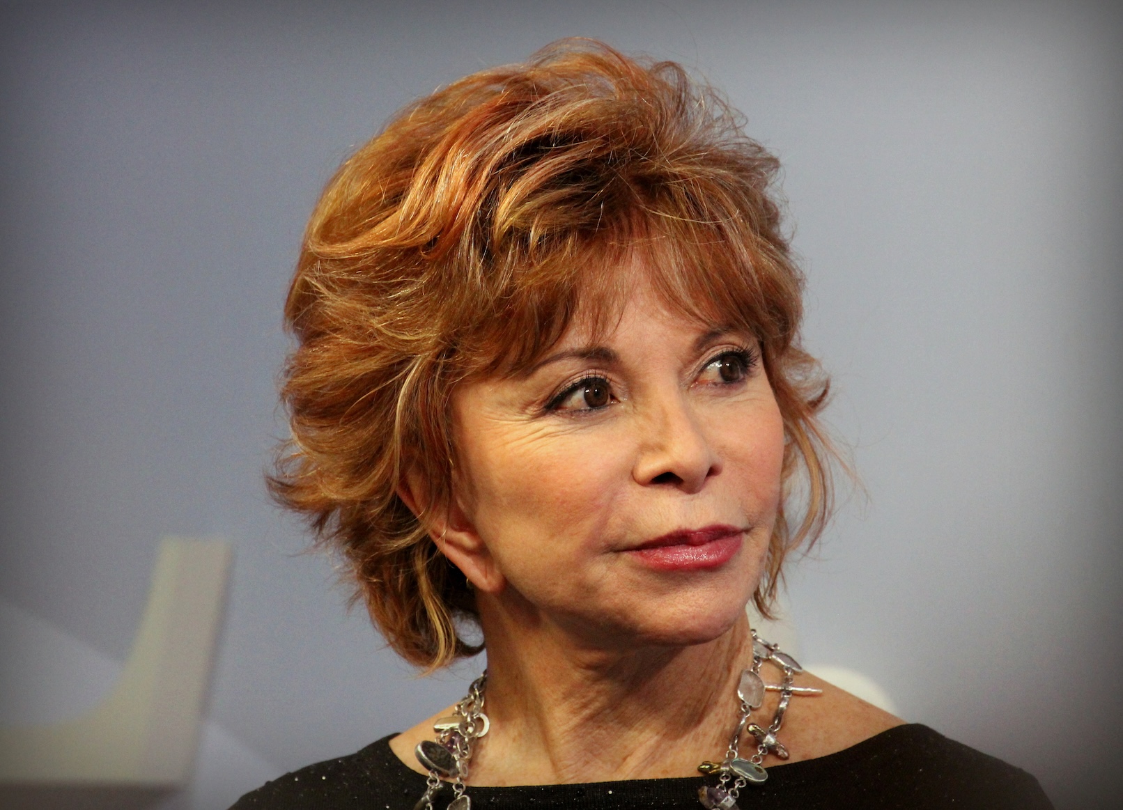 Sheffield MeetMarket: Isabel Allende: The Documentary by River Finlay