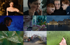 IDF announces selections for first edition of Docs Beyond: Audience, Impact & AI
