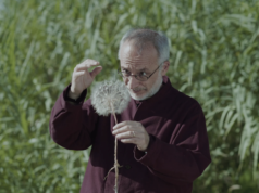 Venice Open: Holy Wood Dust by Victor Kossakovsky