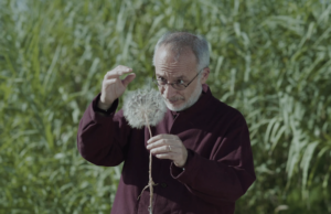 Venice Open: Holy Wood Dust by Victor Kossakovsky