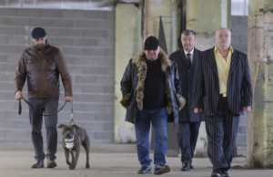 Baltic Sea Docs 2026 Coming Soon: Wise Guys by Ieva Ozoliņa