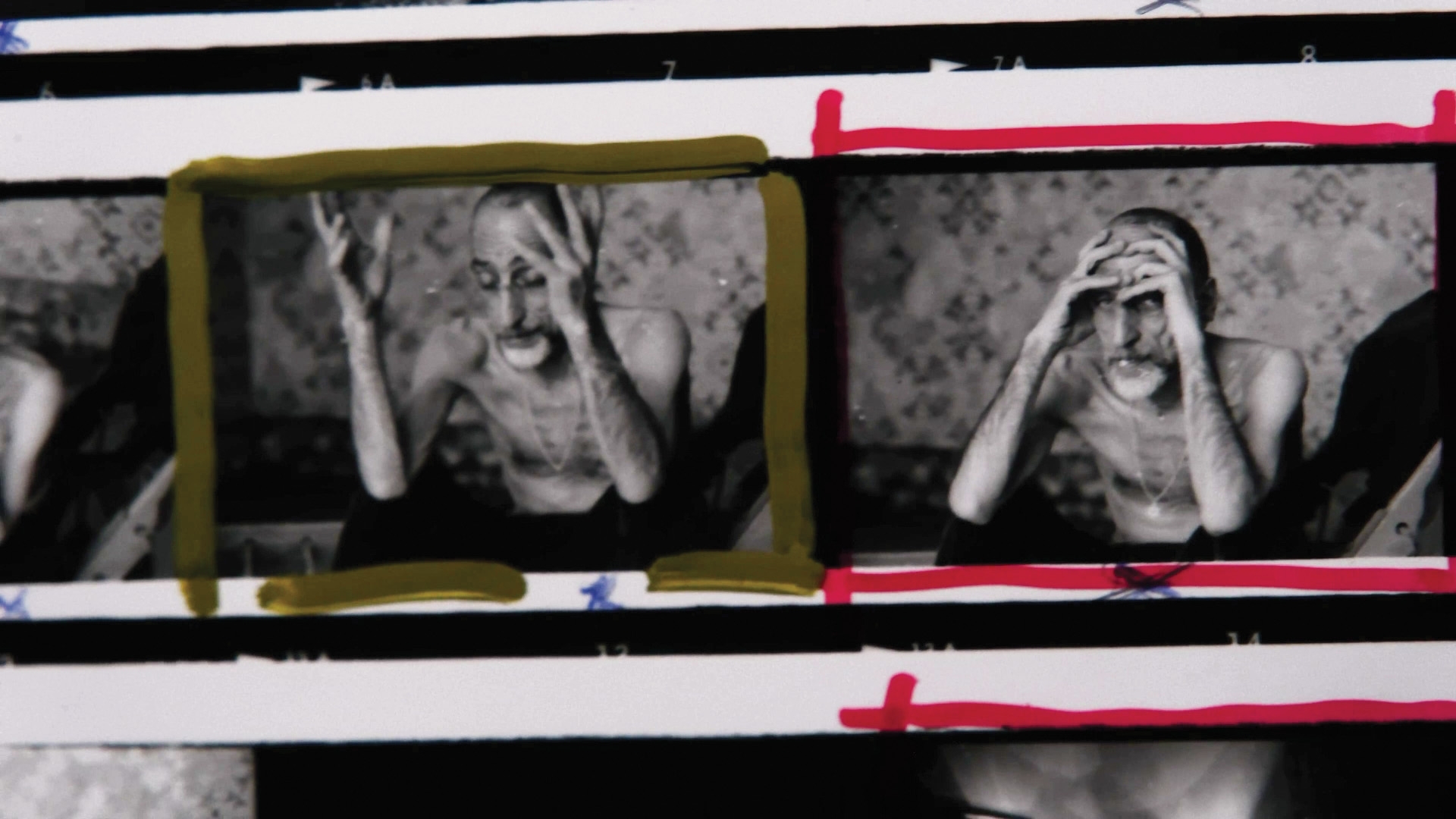 Doclisboa Portuguese Comp: Visits From A Distant Relative by Inês Oliveira