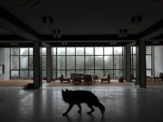 DOK Leipzig German Comp: Hotel Utopia by Julia Groteclaes